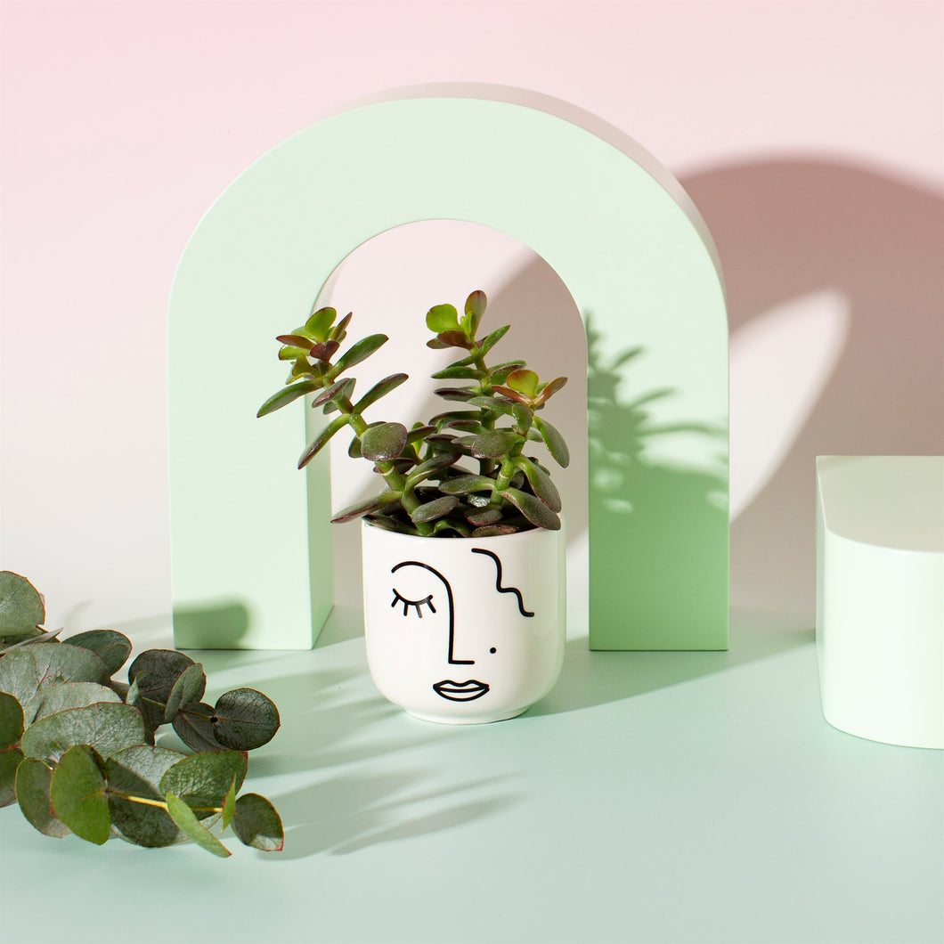 Abstract face Mini Planter